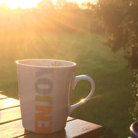 Loewenguth - Freundliche Gemuetliche Budget Hotel